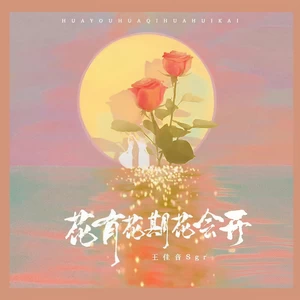 王佳音 - 花有花期花会开(伴奏)