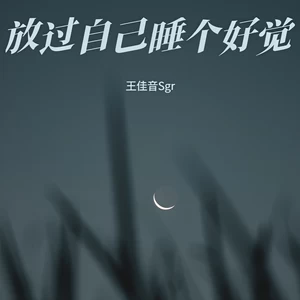 放过自己睡个好觉(DJ九零版伴奏)