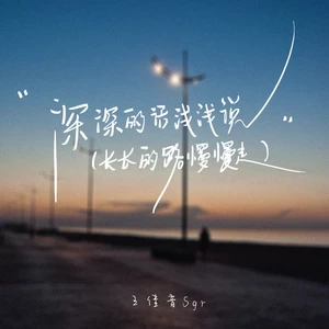深深的话浅浅说(DJ沈念版)