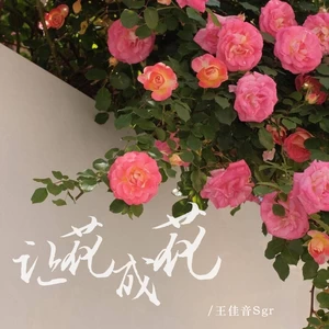 让花成花(让树成树伴奏)