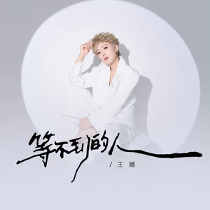 王娜 - 等不到的人