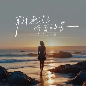王娜 - 等我熬过了所有的苦
