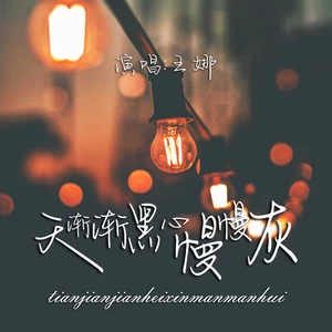 王娜 - 天渐渐黑心慢慢灰