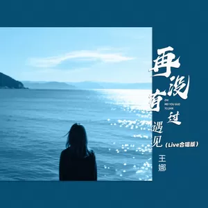王娜 - 再没有过遇见(Live合唱版)