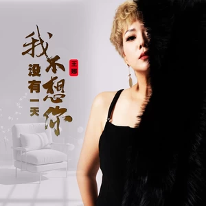 王娜 - 我没有一天不想你(伴奏)