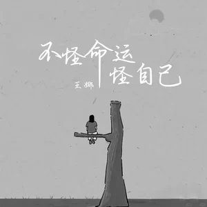 王娜 - 不怪命运怪自己(伴奏)