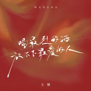 王娜 - 喝最烈的酒放不下最爱的人(DJ九零版伴奏)