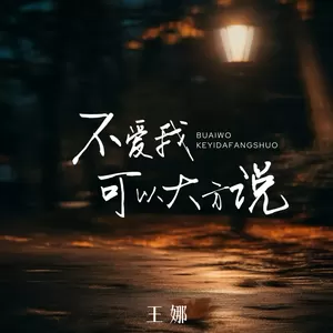王娜 - 不爱我可以大方说