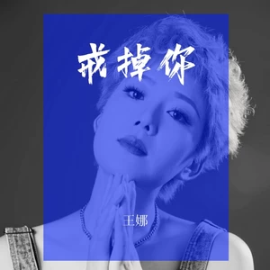 王娜 - 戒掉你（DJAs版）