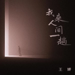 王娜 - 我来人间一趟