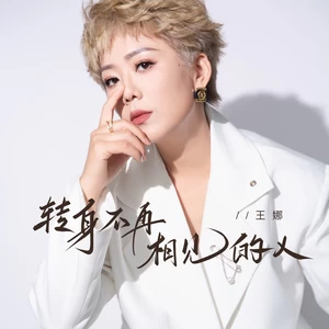王娜 - 转身不再相见的人(伴奏)