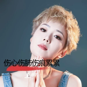 王娜 - 伤心伤肺(伴奏)