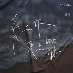 王娜 - 爱上你爱上错(DJ九零版)
