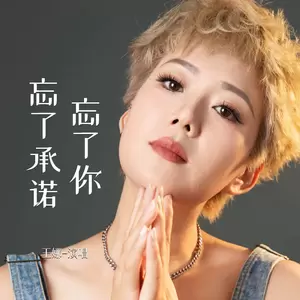 王娜 - 忘了你忘了承诺(伴奏)