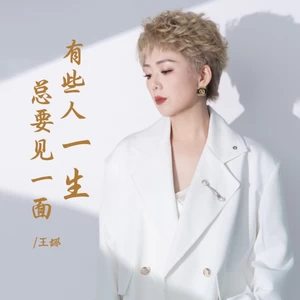 有些人一生总要见一面(伴奏)