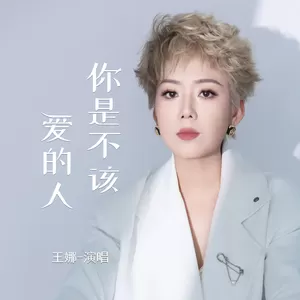 你是不该爱的人(DJ西米版伴奏)
