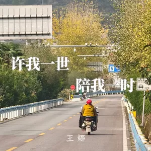 许我一世 陪我一时(伴奏)