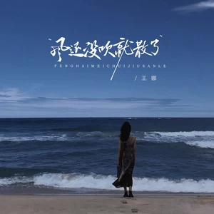 风还没吹就散了（DJBanan版）