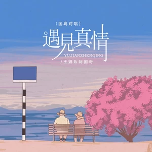 王娜/阿国哥 - 遇见真情（国粤对唱）