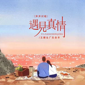 王娜/广东余丰 - 遇见真情（声声对唱）