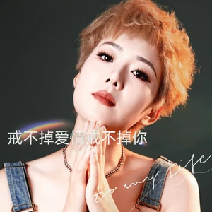 戒不掉爱情戒不掉你(DJ默涵版)