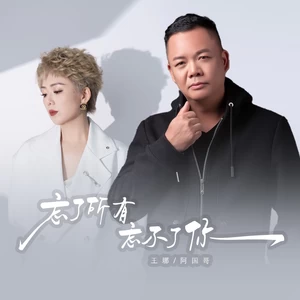 阿国哥/王娜 - 忘了所有忘不了你(国粤对唱版)