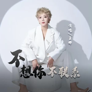 九良/王娜 - 不想你不联系