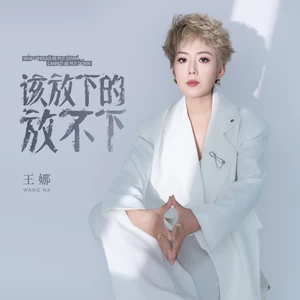 该放下的放不下(伴奏)