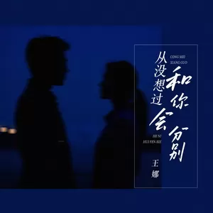 从没想过和你会分别