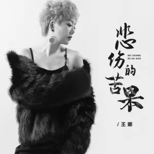 悲伤的苦果(DJ浩然版)