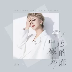 雪中送碳的是谁(伴奏)