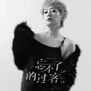 忘不了的过客