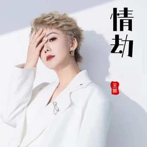 情劫(伴奏)