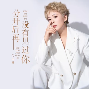 分开后再没有见过你(伴奏)