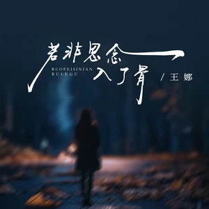 若非思念入了骨(伴奏)