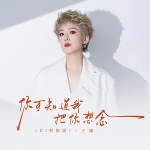 你可知道我还把你想念(DJ彭锐版伴奏)