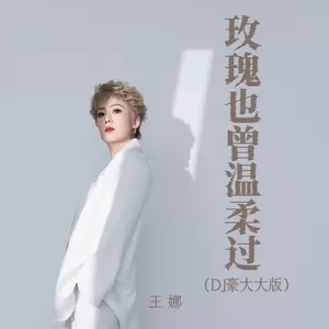 玫瑰也曾温柔过(DJ豪大大版伴奏)