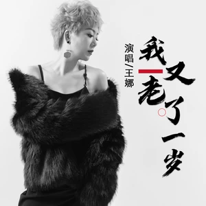 九良/王娜 - 我又老了一岁(女版)(伴奏)