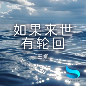 王娜 - 如果来世有轮回(和声伴奏)