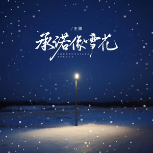 王娜 - 承诺像雪花(DJ京仔版)(伴奏)