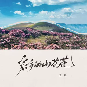 王娜 - 家乡的山花花(伴奏)