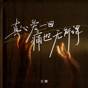 真心爱一回痛也无所谓(DJ九零版伴奏)