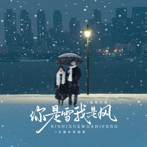 王娜/阿国哥 - 你是雪我是风(DJ京仔国粤对唱版)(伴奏)
