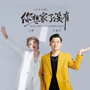 王振宇/王娜 - 你想家了没有（声声对唱）