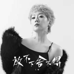 放不下舍不得(DJ版伴奏)
