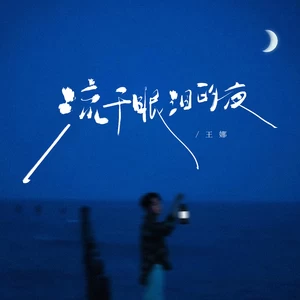 流干眼泪的夜(DJ沈乐版)