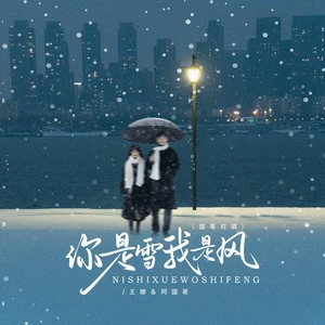 王娜/阿国哥 - 你是雪我是风（国粤对唱）