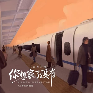 王娜/阿国哥 - 你想家了没有（国粤对唱）