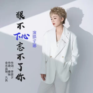 九良/王娜 - 狠不下心忘不了你（DJ默涵版）