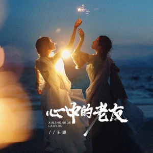 王娜 - 心中的老友（DJBanan版）